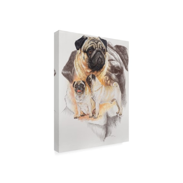 Barbara Keith 'Pug And Ghost' Canvas Art,24x32